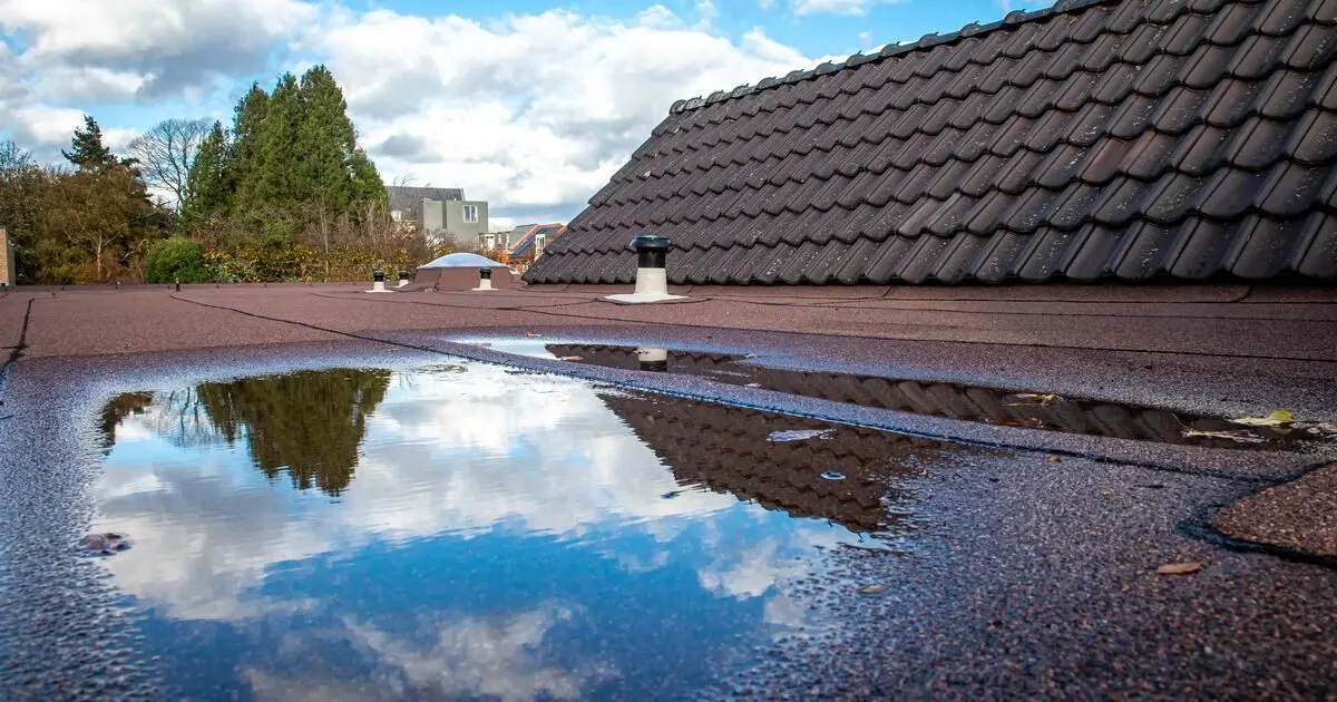 drain-cleaning emergency repair tamworth roofing